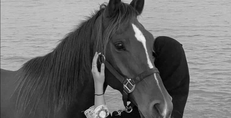 إلى أين أرحل ..؟