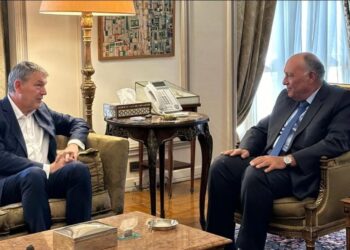 لإغاثة الفلسطينيين … وزير الخارجية المصري يلتقي المفوض العام لوكالة الأونروا في القاهرة