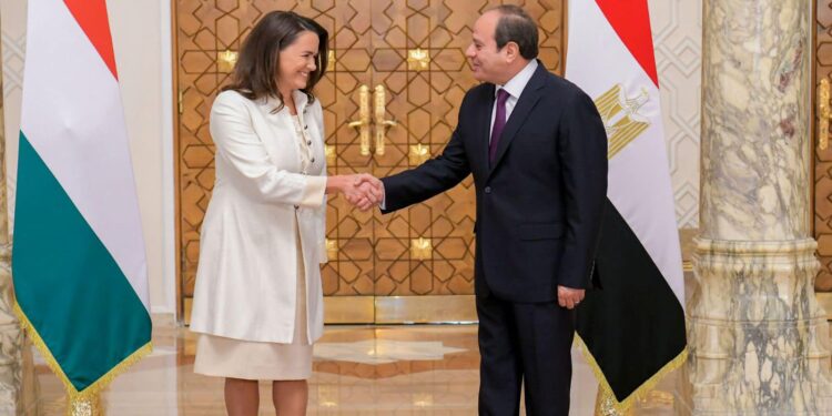 للشراكة والتعاون … جلسة مباحثات مصرية مجرية