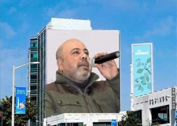 ضربت كل الودع …