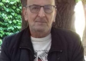 جذعُ السَّكينةِ …