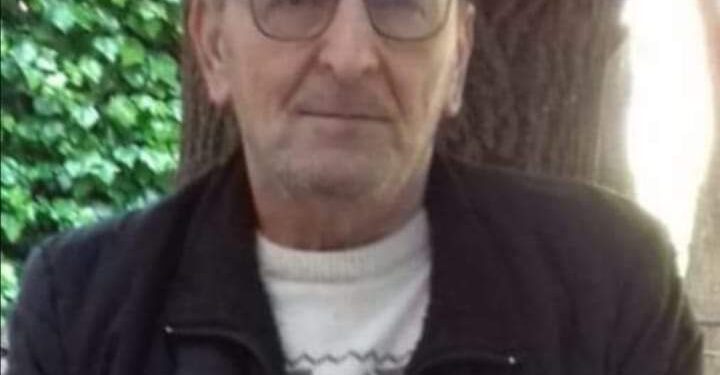 جذعُ السَّكينةِ …