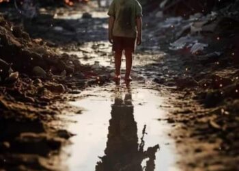 سأرتب أوراقي لا أكثر …