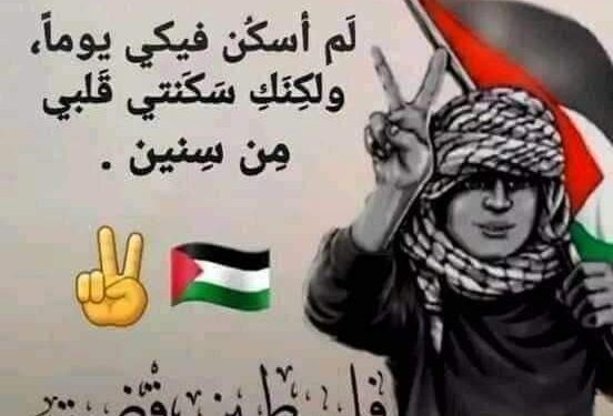 سلام الى غزة …