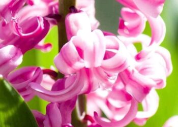 نيران ولهب …