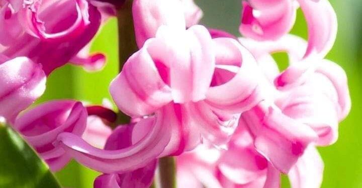 نيران ولهب …