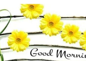 (صباح الخير)