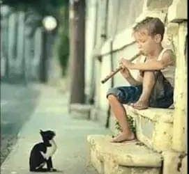 بين عمر عدى