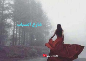  شارع الضباب