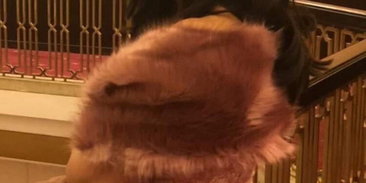 ترنيمة عشقها