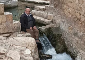 فلــســطين 