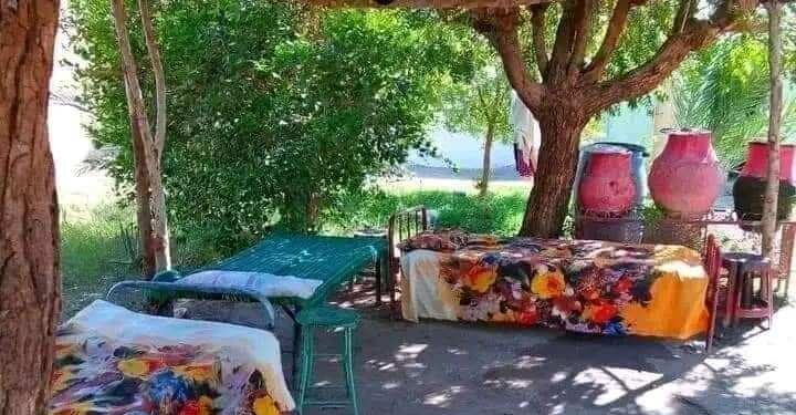 سقف بيتنا كان سما …