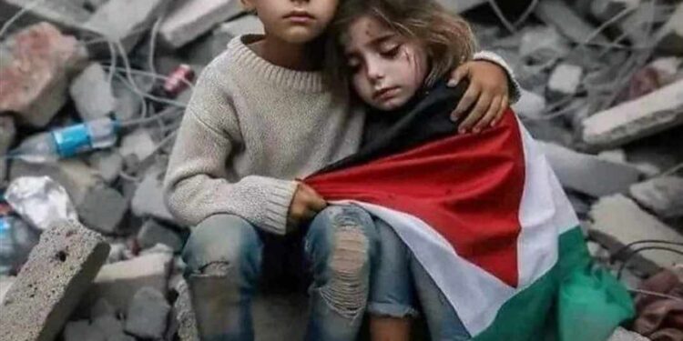 الطفل بغزه بيولد فارس