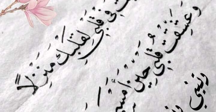 ولم أَرَ في حياتي مثل حبي …