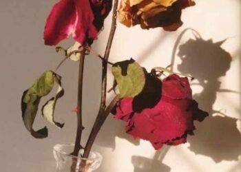 الورد مات ف يوم ربيعه …