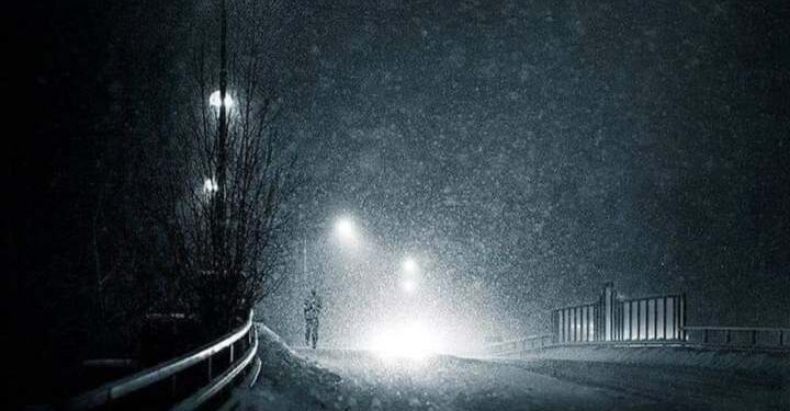 وادي الذئاب …