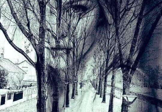 سقاء الحنين …