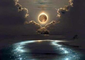 غدا يابحر تتركني  …