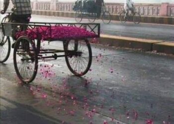 لسه المعاني