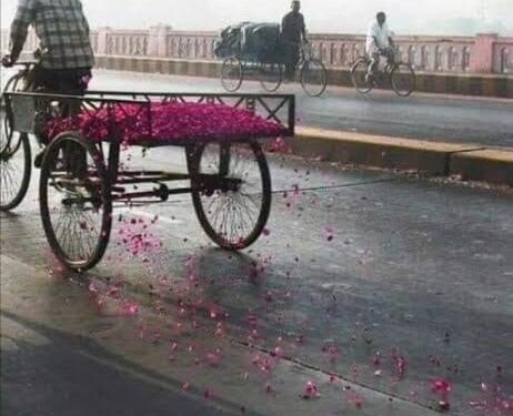 لسه المعاني