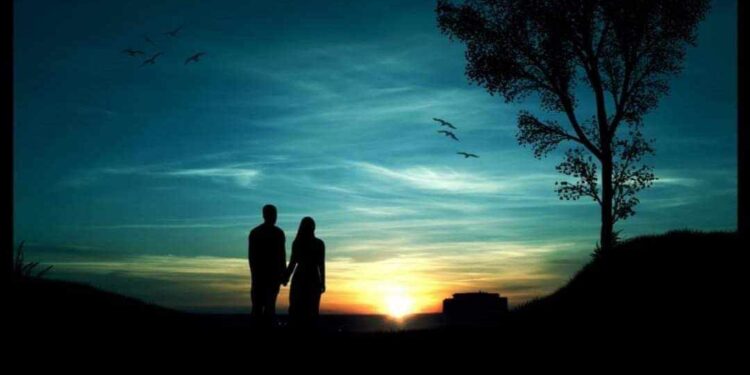 للنور  شبابيك