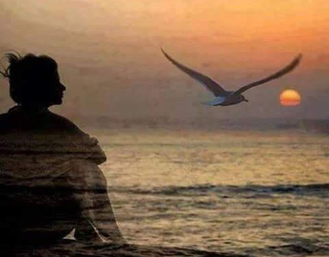 حوار مع القلب …