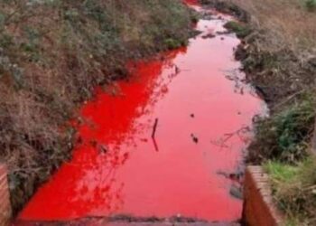 النهر الدموي الغريب يثير ضجة على مواقع التواصل ويرعب البريطانيين 