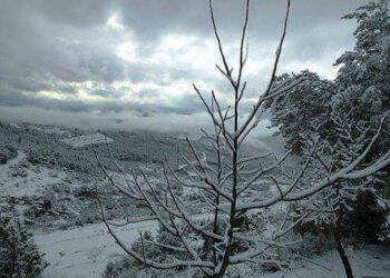 نهرٌ حصورٌ …