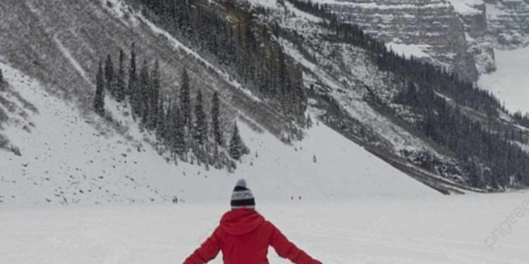  أحلام شتوية  …