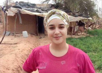 —–(( يا طيور الحب ))—–