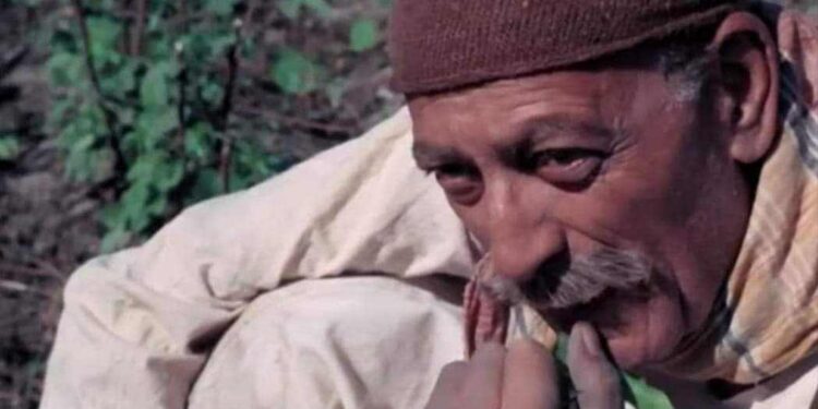 ضمير شاعر …