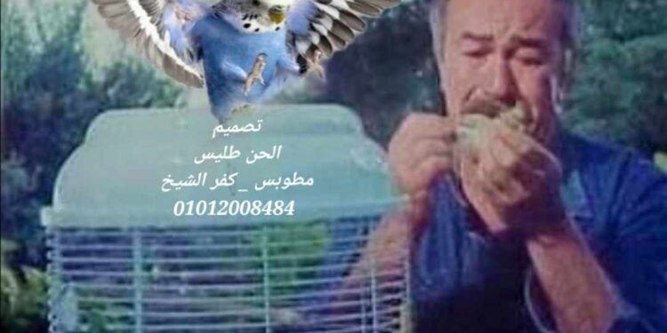 أنا والعصفور …