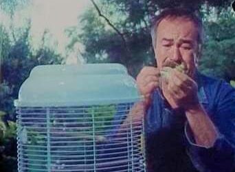 #اناعصفور،،،