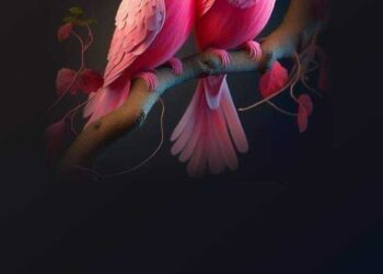 حين التقينا