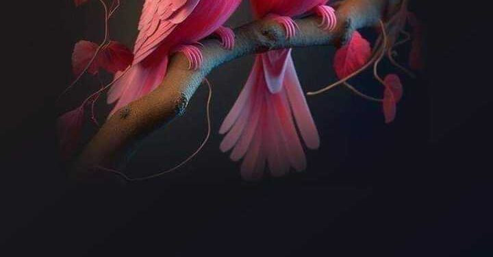 حين التقينا