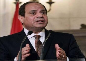 قرارات الحماية الاجتماعية التاريخية تؤكد حرص الرئيس على تحقيق الأمان الاجتماعي