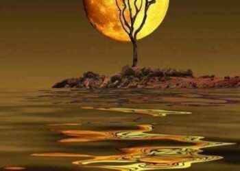 وتشرق شمس …