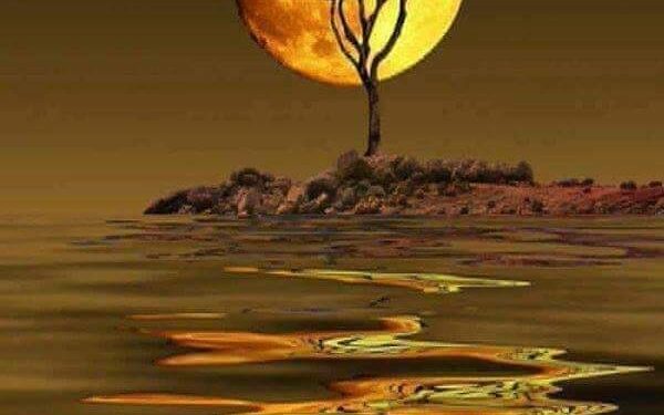 وتشرق شمس …