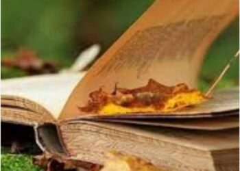 كتاب العمر كام ورقه …