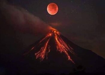 طل القمر في غيابك …