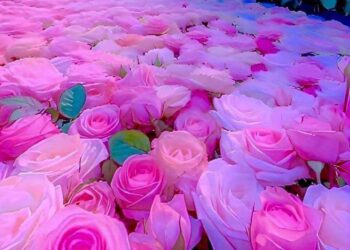 جُعنا و تعبنا … أين الضمير … ؟