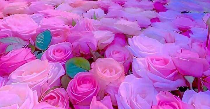 جُعنا و تعبنا … أين الضمير … ؟