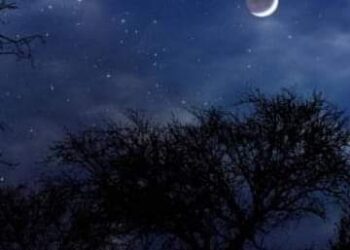 مركب الأحزان …