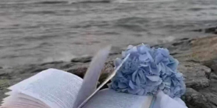  بِلا عنوان …