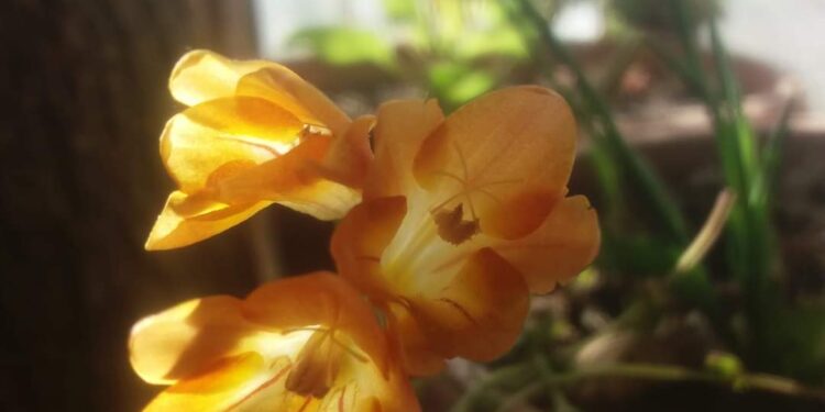 حين أشعر بالحرية …