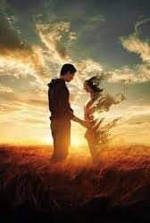 منابت الروح …