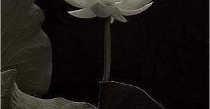 اهازيج الصمت الباكي …