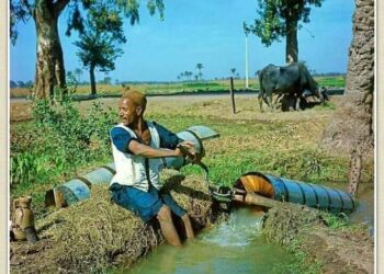 “الطنبور” تراث واختراع مصري أصيل