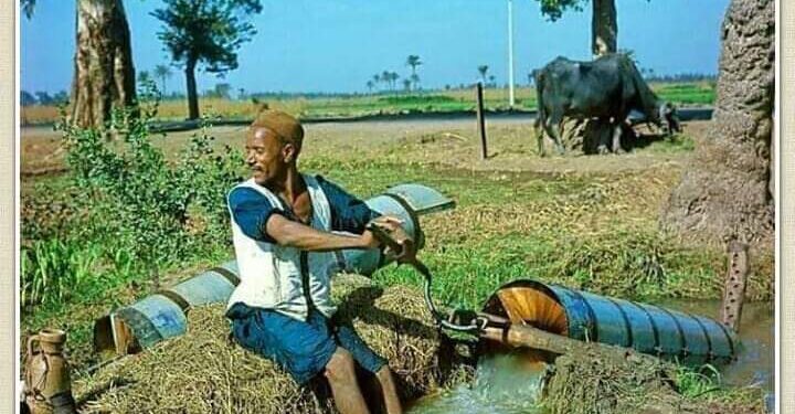 “الطنبور” تراث واختراع مصري أصيل