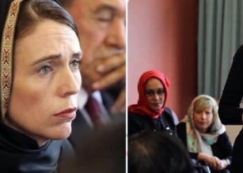 نيوزلندا …